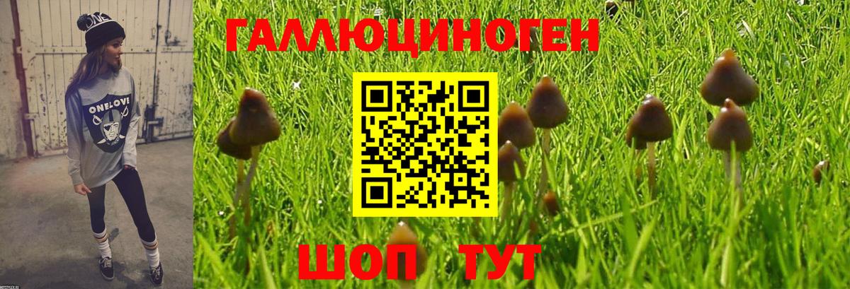 магазин продажи наркотиков  Галлюциногенные грибы Psilocybine cubensis  Вход с VPN  Сергиев Посад 
